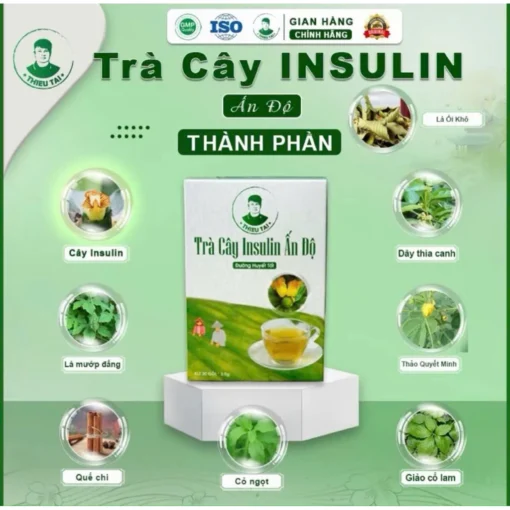 Trà cây Insulin Ấn Độ THIỀU TÀI Trà thảo mộc nước trà tốt cho đường huyết 1 hộp/30 túi lọc